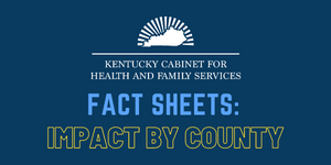 Fact sheets: Impact by county