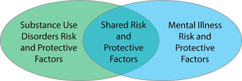 A venn diagram showing overlaps of protective and risk factors.