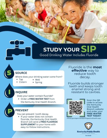Image of Study Your SIP Flyer
