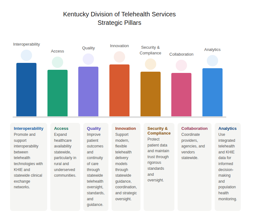 Listing of Telehealth Division's Strategic Pillars